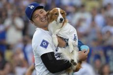 大谷翔平よりも…デコピンが“大バズり”　サプライズ登場にX興奮「恐ろしい犬」