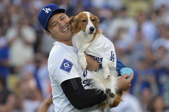 大谷翔平の愛犬、ウィキペディアに登場　「デコピン（犬）」表記、「ド軍や大谷の広報活動に参加」