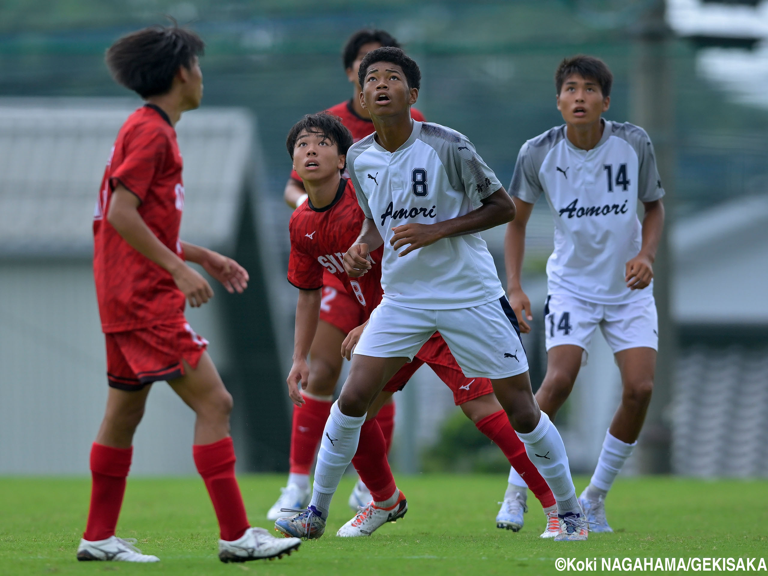 [国スポ少年男子]青森山田単独チームの青森県、埼玉県に敗れて初戦敗退(18枚)