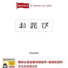 高速船2社どうなる？ JR九州高速船は不祥事隠蔽、4期連続赤字の瀬戸内汽船は“逆張り”投資で大博打（重道武司）