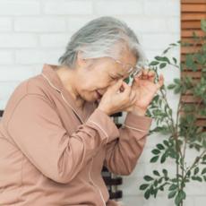 ヒントは冬眠するリス…手術をしないで白内障が治る？