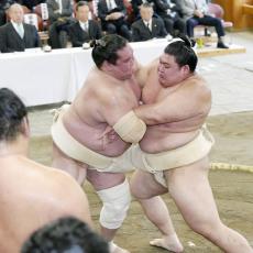 横綱・照ノ富士の「鬼門」は初日より2日目…対戦見込み前頭筆頭・隆の勝とは8勝7敗とほぼ互角