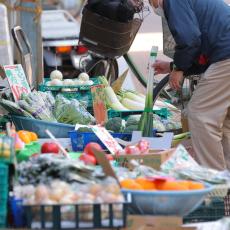 野菜高騰は収束見通せず、年始もまだ続く…農水省も嘆く異常気象と品薄による「負の連鎖」