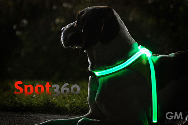ワンちゃんを美しく安全に照らすハーネス　Spot360