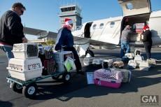 積荷エリアのペットの安全を確認　デルタ航空のペットモニタリング機