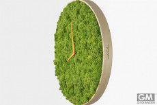 岩壁や地面に這いつくばってるだけじゃないよ！苔（コケ）の緑濃い「Moss Clock」