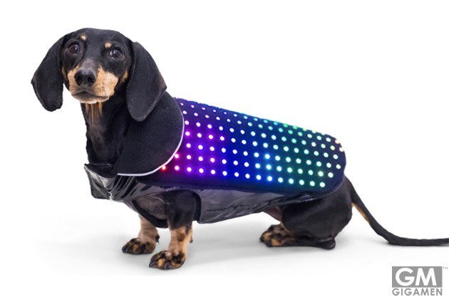 「The Disco Dog Vest」で愛犬はパーティの主役？でも、それだけではない！