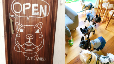 和歌山市にワンコと飼い主のためのギャラリー＆ドッグカフェ「LOVEBUHI&#038;CO」オープン！