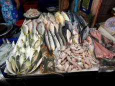 【タイ】タイの臨海部にある市場で新鮮な魚を手に入れる