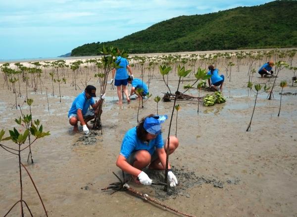 【タイ】OKIグループ・マングローブ植林に81名参加ーチョンブリー県