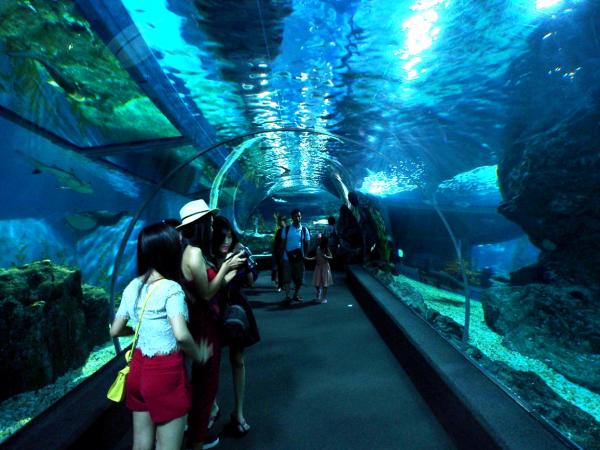 【タイ】バンコク中心の地下にある、東南アジア最大の水族館Sealife Bangkok Ocean