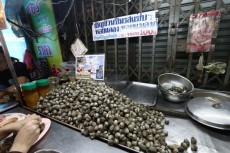 【タイ】バンコクの中華街で貝しか食べられない屋台が大繁盛