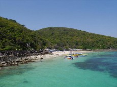 中国、韓国の観光客ータイのサンゴ礁を破壊へーガイドは黙認