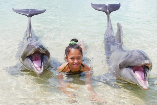 イルカと遊泳もできる、フィリピン・スービックの海洋パーク