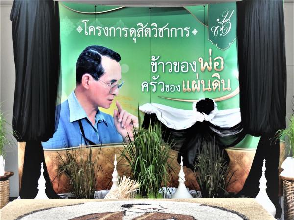 タイ新国王が12月1日に即位かー国会議員にバンコクで待機の指示