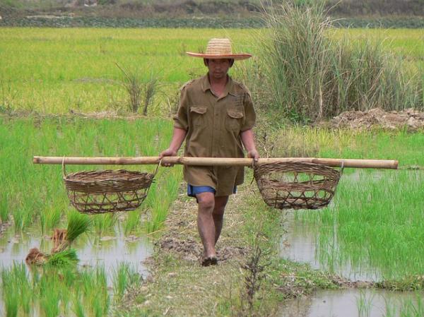 【タイ】2017年のタイ経済は農業・輸出部門を中心に回復基調が進む