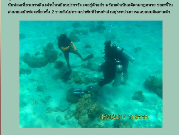 【タイ】サンゴ礁を踏みつけた韓国人ダイバー捜査
