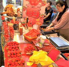 豚に睨みをきかされている台湾産のイチゴ屋台・台中で一番大きな「逢甲夜市」