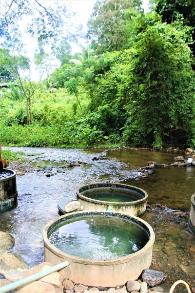 想像絶する秘湯！ タイ・チェンマイ郊外の「土管温泉」　ジャングルの小川に手作り