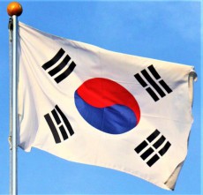 韓国・泥臭い、弘益大学教授！ 味噌も糞も一緒な朝鮮半島を推奨