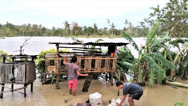 フィリピンに台風 上陸ー多くの田んぼで稲が全滅・クリスマスイベント中止