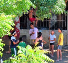 【美味しいフィリピン】マンゴー取りにチャレンジする子どもたち！ 新型コロナで木登りは自粛 
