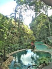 【セブ島】太古の森から湧き出る天然水プール『ドゥラノエコファーム』Durano Ecofarm