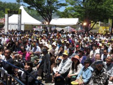 デング熱で開催中止決定=代々木公園でのベトナムフェスティバル