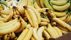 青いバナナ、まっ黄色のバナナ、茶色の斑点があるバナナ…最も「ダイエット」に効果的なのはどれ？【医師が解説】