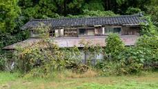 RIDDIM SAUNTER 解散ライブ 写真集 DVD 付き 新品 未開封 本日復活のRiddim Saunter、24カ所巡る全国ツアー開催を発表の記事への