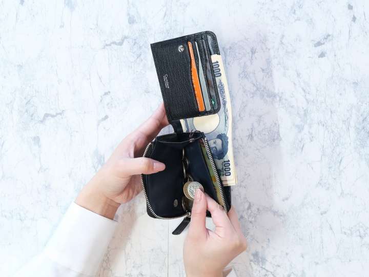 シャガール、バラとミモザ、希少レゾネの一頁、 新品額装付 シャガール