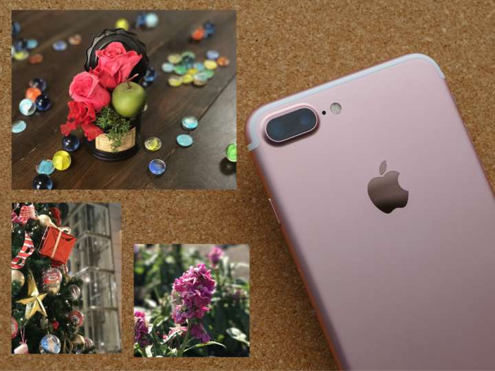 誰でもプロっぽく撮れる！ iPhone 7 Plusの「ポートレート」モードが 