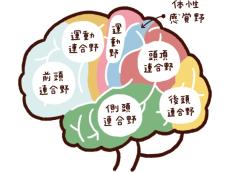 記憶力・集中力は50代でも伸びる！無料「脳トレ」で鍛えよう！【専門家監修】