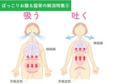 運動しても痩せない人はこれ試して！【痩せる呼吸法】「ぽっこりお腹」も「猫背」も一気に改善