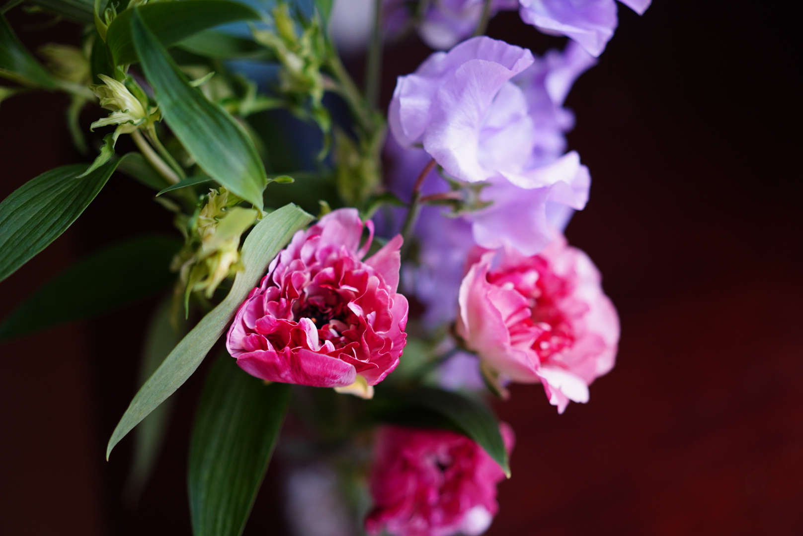 リモートワークに花を飾って。フラワーアーティスト・前田有紀さんがおすすめする”春の花”。