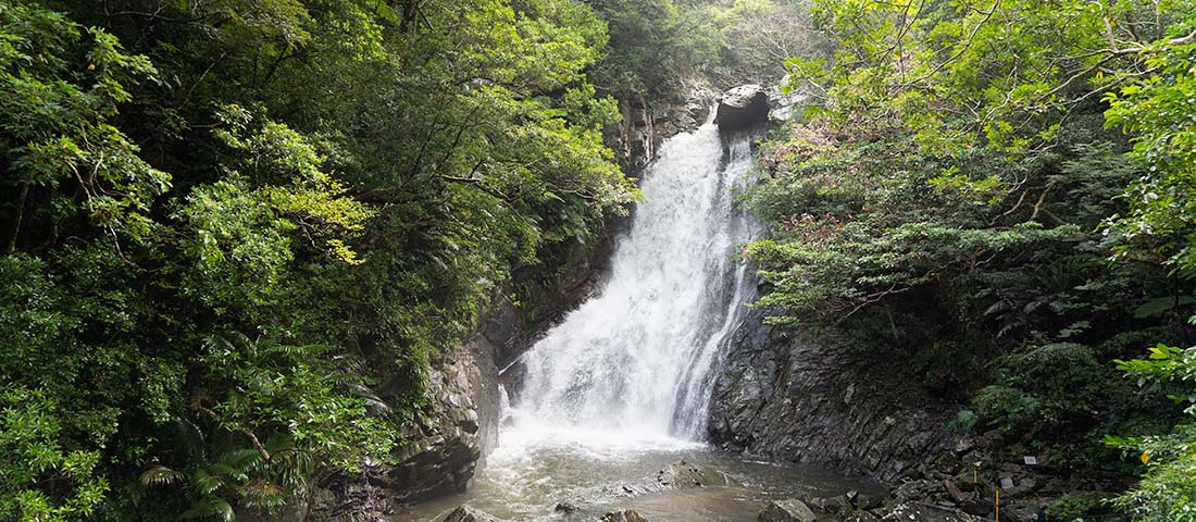 〈ザ・リッツ・カールトン沖縄〉がプロデュースする『ネイチャーガイドと巡る比地大滝』を体験。