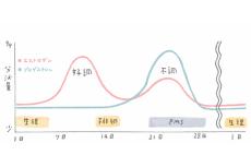 女性ホルモンを知るための、生理の話。【女性ホルモンを理解しよう。】