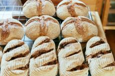 【SDGs A to Z: B (Bakery) 】自分で耕し、自作の薪窯で焼いたパンを必要な分だけ。