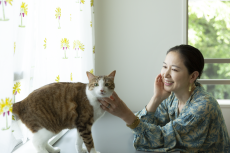 ペットと暮らせば。猫のピーヤとタロロと