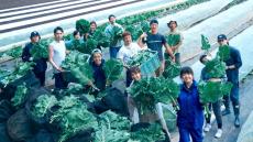 野菜、足りてる？おいしくて安全、地球環境にも優しい野菜を届ける〈KALE FARM〉