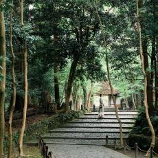 澄んだ空気が心地よい〈法然院〉で侘び寂びの心に浸る。｜寺社につき喫茶。絵になる京都ご多幸散歩 Vol.2 寺社編