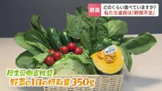 １日に野菜をどのくらい食べていますか？北海道民は“野菜不足”の調査結果発表　厚労省の推奨は１日350グラム