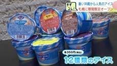 沖縄の人気アイス『ブルーシールアイス』を札幌で期間限定販売…シークヮーサーや紅イモ、塩ちんすこうなど12種類、大通ビッセで７月14日まで