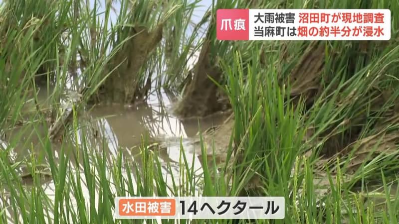 北海道・雨竜川氾濫の影響　沼田町では約半分の畑が浸水か　水田、大豆、そば、トウモロコシなど農業被害を現地調査