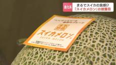 今年も“進化系メロン”が新たに誕生で早くも話題　においや食感はスイカで、味はメロンという北海道名寄産の“スイカメロン”　去年は果肉真っ白の富良野産“レモンメロン”も…新たなメロンブランドに注目