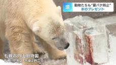 動物たちも超うれしい！夏バテ防止に“氷のプレゼント”が届く　フルーツや肉の塊、アジなどの大好物もヒンヤリ味わえて大喜び　札幌市円山動物園