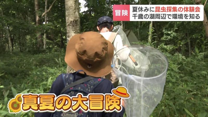 「めっちゃイトトンボいるじゃん」夏休みに昆虫採集の体験会　カマキリ、カブトムシ、チョウも捕まえた　顕微鏡での観察も驚きの連続　北海道千歳市