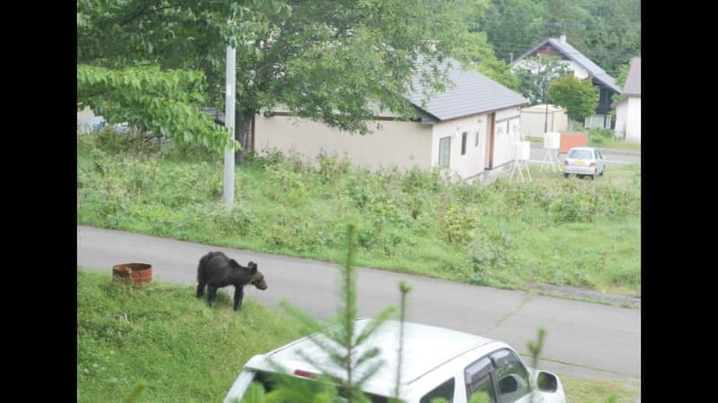 住宅の物置に体長1.5メートルのクマ１頭が約６時間も居座り続ける　警察と猟友会のハンターが待機していたところ、クマが出てきたため、ハンター２名が発砲して駆除　北海道上士幌町