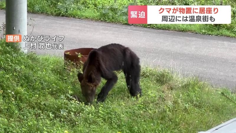 【緊迫の一部始終】体長1.5メートルのメスのクマ１頭が出没「家の敷地にクマがいる」と住人が通報　物置に入り込んで６時間ほど居座り続けたあとに駆除される　北海道上士幌町