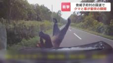 【衝突の瞬間】乗用車の前に飛び出して来たのは…ヒグマ　車と衝突して立ち上がり藪の中へ「クマだと気づいたのはぶつかる直前…」　北海道音威子府村